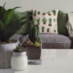 Home & Garden